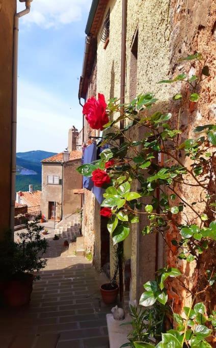 Casa Il Girasole Villa Boccheggiano ภายนอก รูปภาพ
