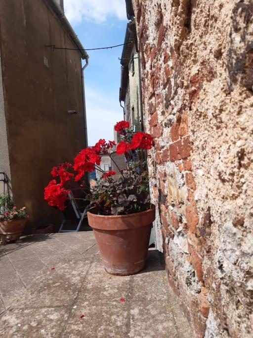 Casa Il Girasole Villa Boccheggiano ภายนอก รูปภาพ