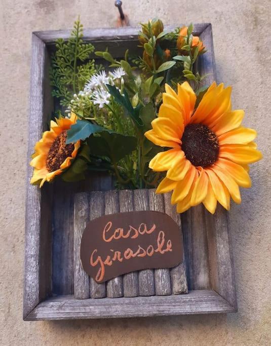 Casa Il Girasole Villa Boccheggiano ภายนอก รูปภาพ