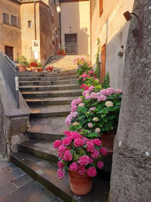 Casa Il Girasole Villa Boccheggiano ภายนอก รูปภาพ