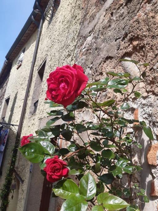 Casa Il Girasole Villa Boccheggiano ภายนอก รูปภาพ